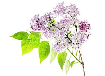 《沙丘：觉醒》玩家达成稀有成就 遭人笑骂“怪物”